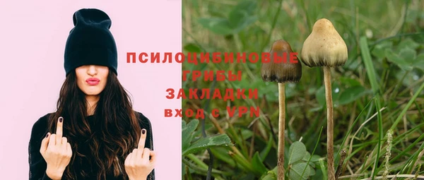 дурь Белокуриха