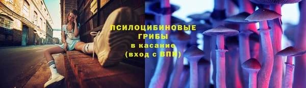 гашик Белоозёрский