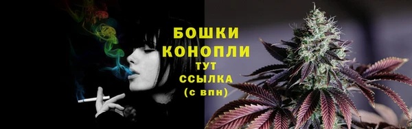 гашик Белоозёрский