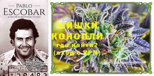 гашик Белоозёрский