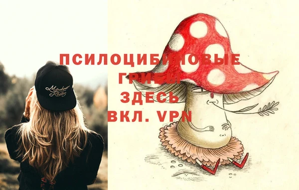 дурь Белокуриха