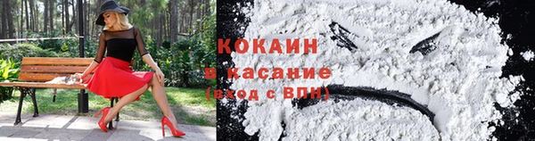 гашик Белоозёрский