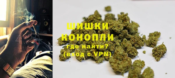 гашик Белоозёрский
